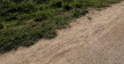 AN ACRE PLOT FOR SALE MTONDIA