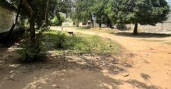 PRIME COMMERCIAL PROPERTY FOR SALE KILIFI
