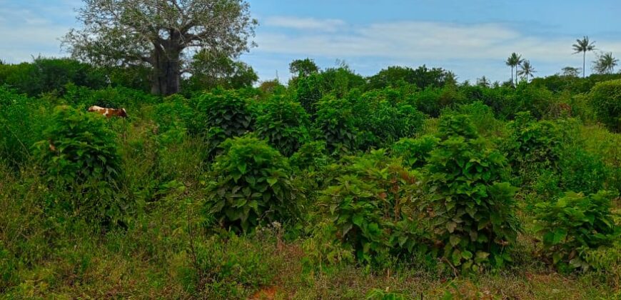 PLOTS FOR SALE TEZO