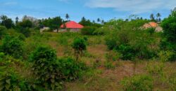 PLOTS FOR SALE TEZO
