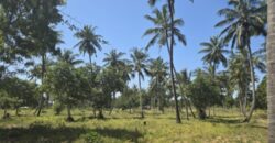 1 ACRE LAND FOR SALE TEZO NGERENYA