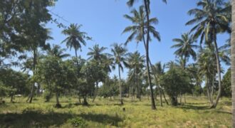 1 ACRE LAND FOR SALE TEZO NGERENYA