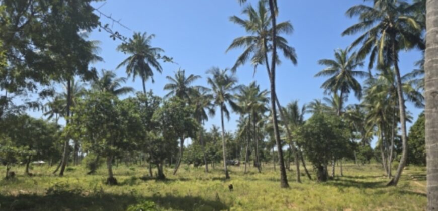 1 ACRE LAND FOR SALE TEZO NGERENYA