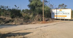 CREEK PLOTS MANDHARINI