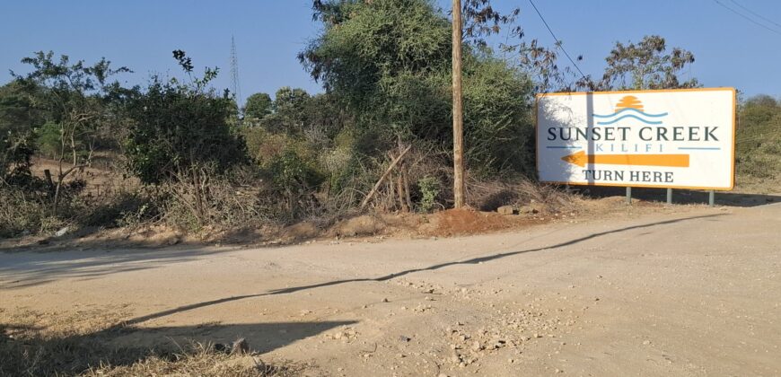 CREEK PLOTS MANDHARINI