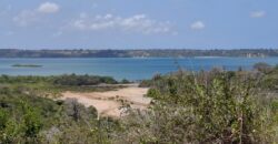 CREEK PLOTS MANDHARINI