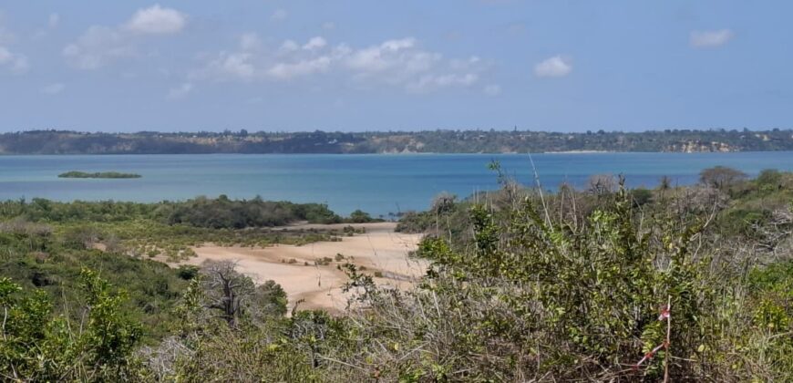 CREEK PLOTS MANDHARINI