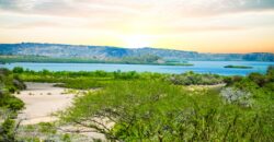 CREEK PLOTS MANDHARINI