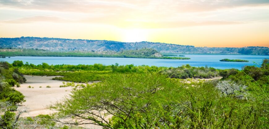 CREEK PLOTS MANDHARINI