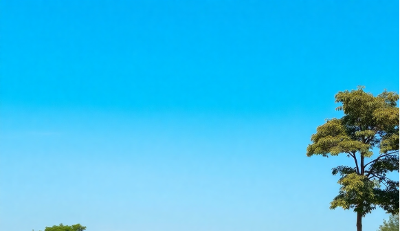 Things to Check Before Buying Land in Kenya