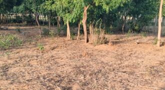 ELITE 1 HECTARE PLOT FOR SALE TEZO,KILIFI