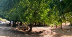 SCENIC HOLIDAY PLOTS ON BOFA TARMAC-2ND ROW