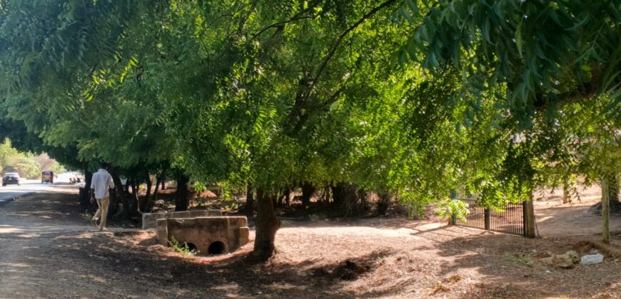 SCENIC HOLIDAY PLOTS ON BOFA TARMAC-2ND ROW
