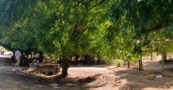 SCENIC HOLIDAY PLOTS ON BOFA TARMAC-2ND ROW