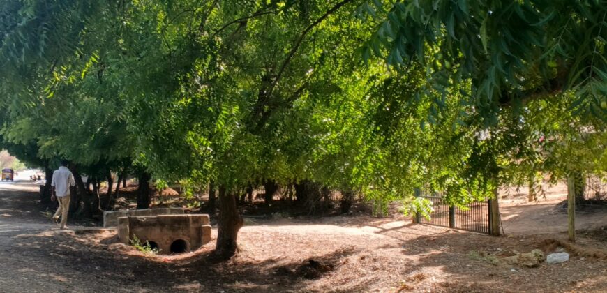 SCENIC HOLIDAY PLOTS ON BOFA TARMAC-2ND ROW