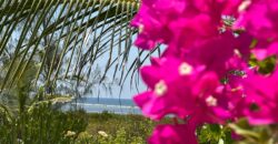 4 Acre Beachfront Property for Sale in Watamu, Malindi | Luxury 4BR Mansion + Development Land