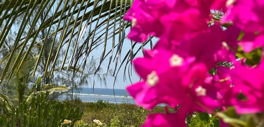 4 Acre Beachfront Property for Sale in Watamu, Malindi | Luxury 4BR Mansion + Development Land