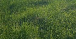 1 Acre Commercial Plot for Sale in Mnarani, Kilifi | Highway Frontage Land Ksh 25M
