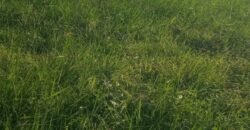 1 Acre Commercial Plot for Sale in Mnarani, Kilifi | Highway Frontage Land Ksh 25M