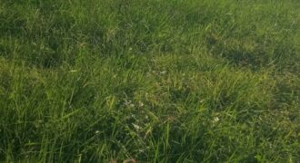 1 Acre Commercial Plot for Sale in Mnarani, Kilifi | Highway Frontage Land Ksh 25M