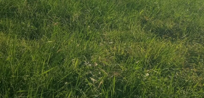 1 Acre Commercial Plot for Sale in Mnarani, Kilifi | Highway Frontage Land Ksh 25M