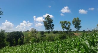 12 Acre Fertile Land for Sale in Kilifi | Ksh 1.8M Per Acre