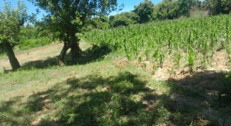 5 Acre Prime Land for Sale Near Mavueni-Kaloleni Junction | Subdivisible at Ksh 4.5M Per Acre