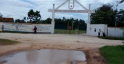 Affordable 1/8 Acre Plots for Sale in Mtwapa Near Mtwapa Primary | Ideal for Airbnb & Rentals – Ksh 2.5M Each