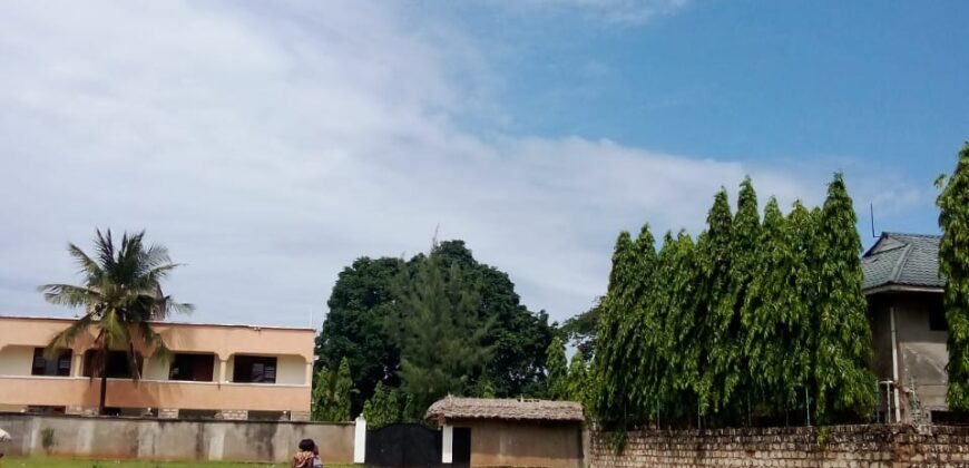 Affordable 1/8 Acre Plots for Sale in Mtwapa Near Mtwapa Primary | Ideal for Airbnb & Rentals – Ksh 2.5M Each