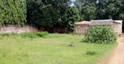 Affordable 1/8 Acre Plots for Sale in Mtwapa Near Mtwapa Primary | Ideal for Airbnb & Rentals – Ksh 2.5M Each