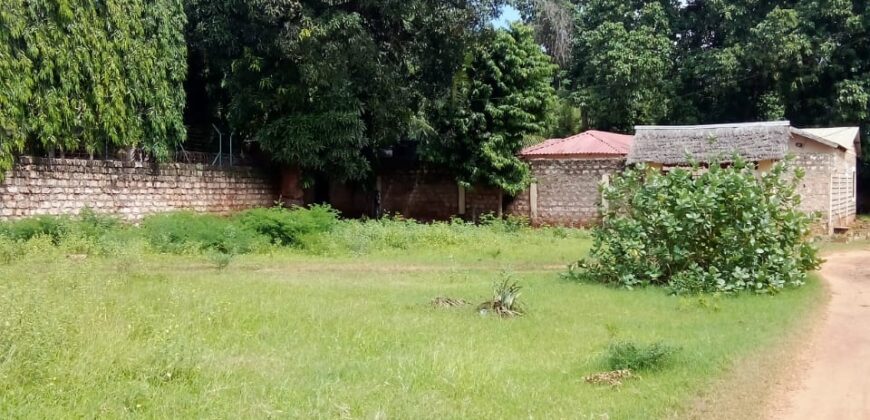 Affordable 1/8 Acre Plots for Sale in Mtwapa Near Mtwapa Primary | Ideal for Airbnb & Rentals – Ksh 2.5M Each
